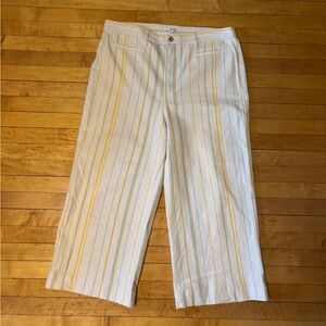 EUC Madewell Emmett Striped Wide-Leg Crop Pants | Women’s Plus 34 (16W-18W)